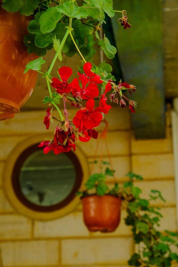 Damask Rose, Lebanese Guest House Jounieh Εξωτερικό φωτογραφία